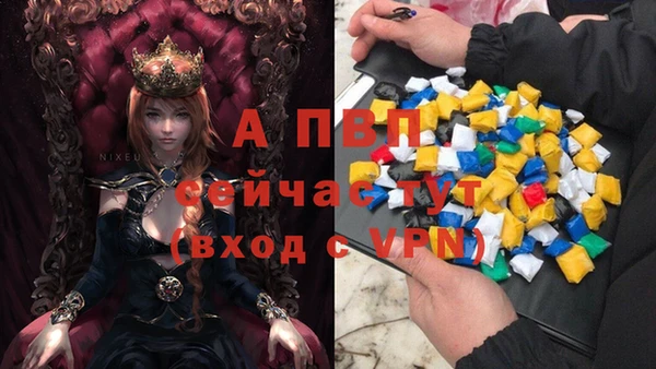 спиды Куйбышев