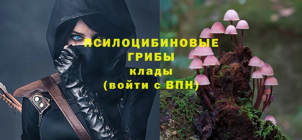 спиды Куйбышев