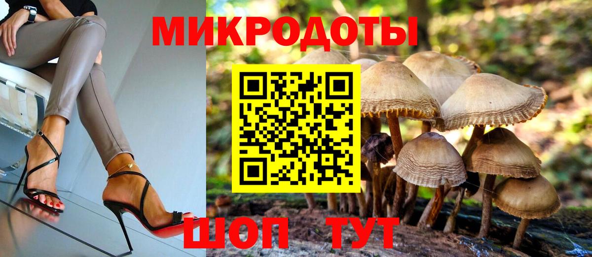 Псилоцибиновые грибы мицелий  закладка  Среднеуральск  Вход с VPN 