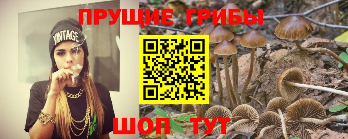 Галлюциногенные грибы GOLDEN TEACHER Среднеуральск