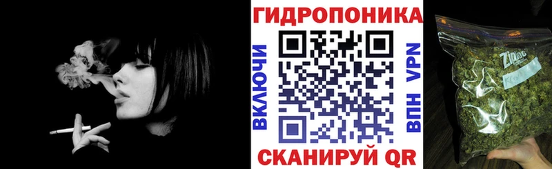 OMG вход Среднеуральск Канабис ГИДРОПОН